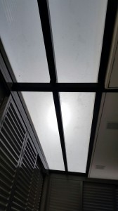 Skylight Roofing